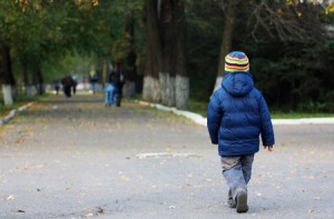 12183239 - little boy walking away in the autumn park