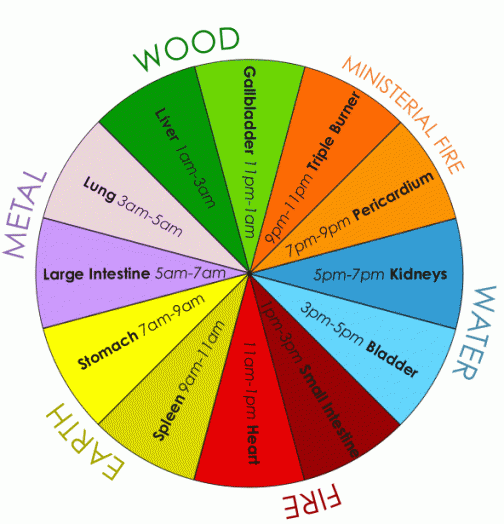 body clock Archives Integrative Health Link
